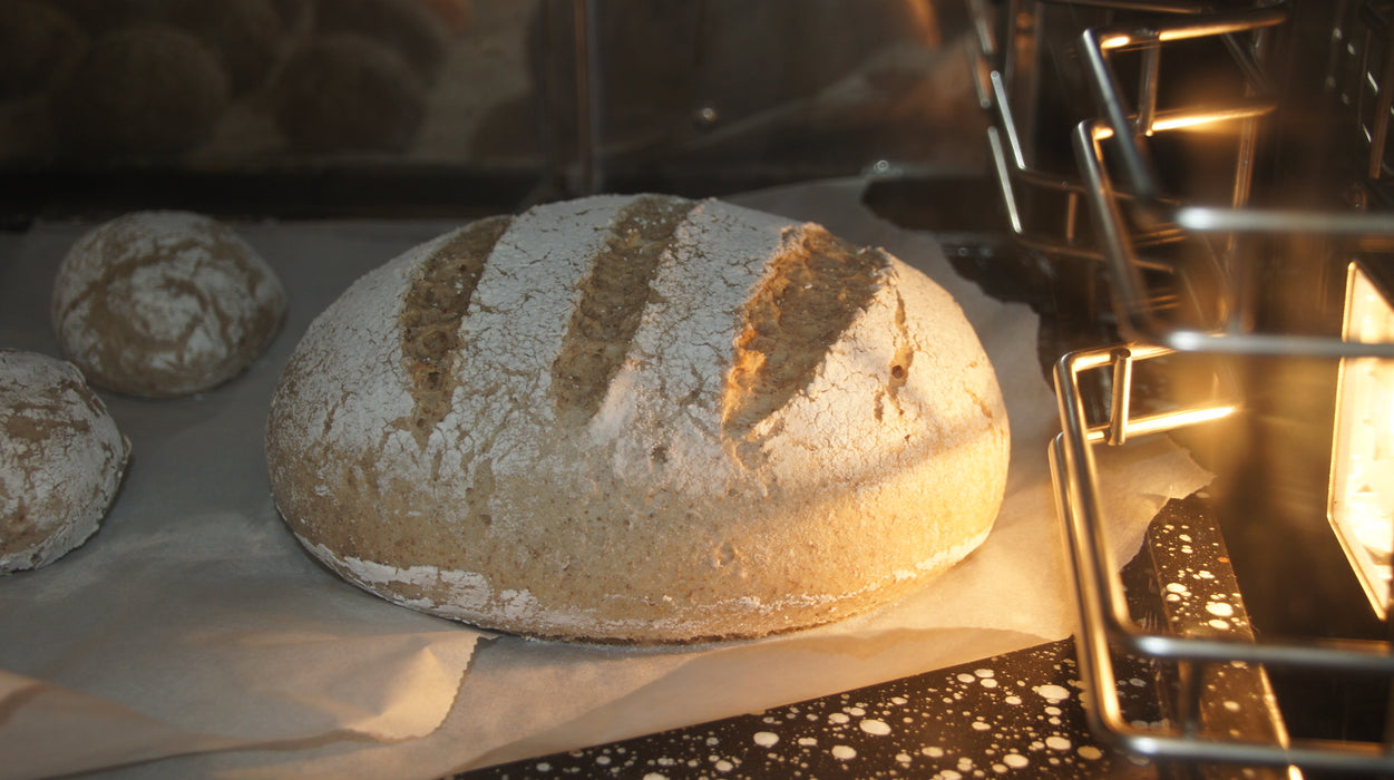 Hausbrot Backmischung - gluten/laktosefrei  500g - Vital Gourmet