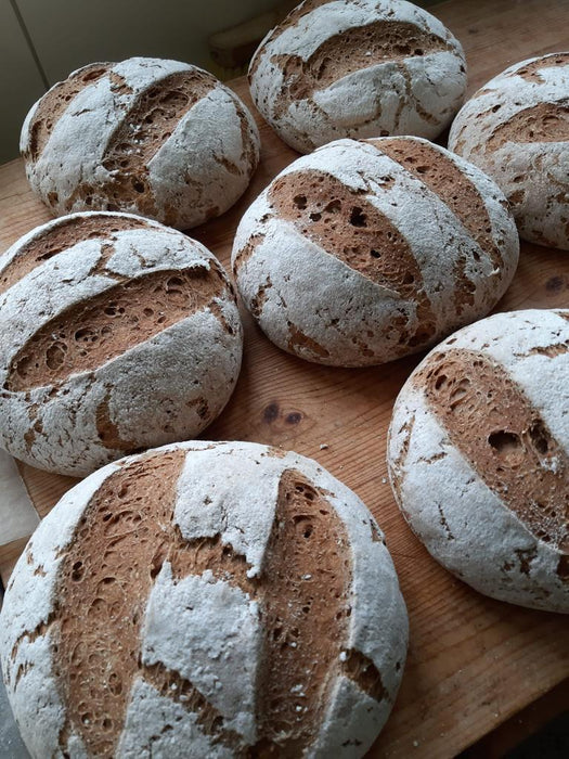 Hausbrot Backmischung - gluten/laktosefrei  500g - Vital Gourmet